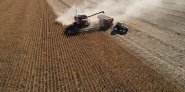 Las expectativas del sector agropecuario argentino