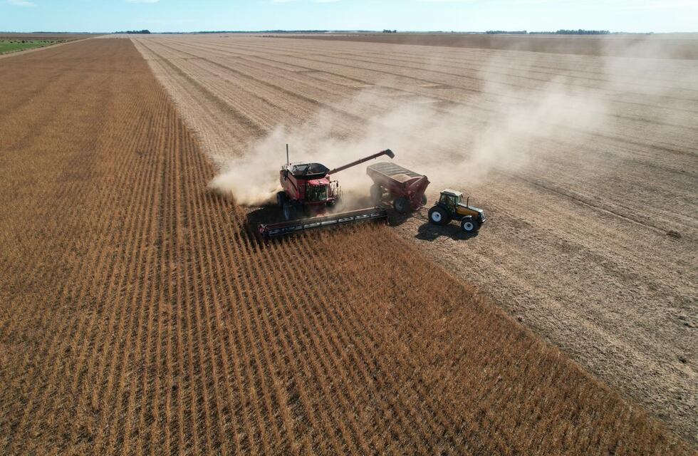 En Argentina mejoran las expectativas del agro con el Gobierno: cuáles son las dudas que se mantienen