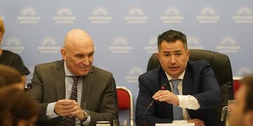 Debate en Comisión de Diputados sobre la Ley Omnibus 
Espert 
Foto clarín