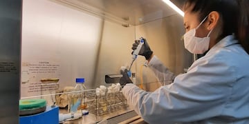 Cintya Elizabeth Salinas Alcón, trabajando en su proyecto en los laboratorios de la Facultad de Ingeniería de la Universidad Nacional de Jujuy (UNJu).