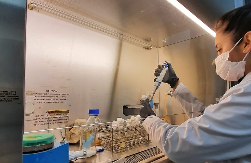 Estudiante jujeña creó un nuevo alimento, a partir de granos andinos