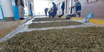 Gran golpe al contrabando de estupefacientes por parte de la Policía Federal y Aduana.