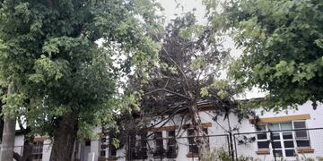 Trabajos de reparaciones