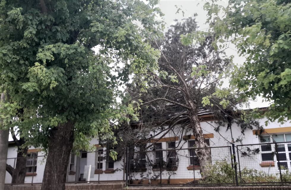 Temporal en Tres Arroyos: informe de situación del Centro de Salud