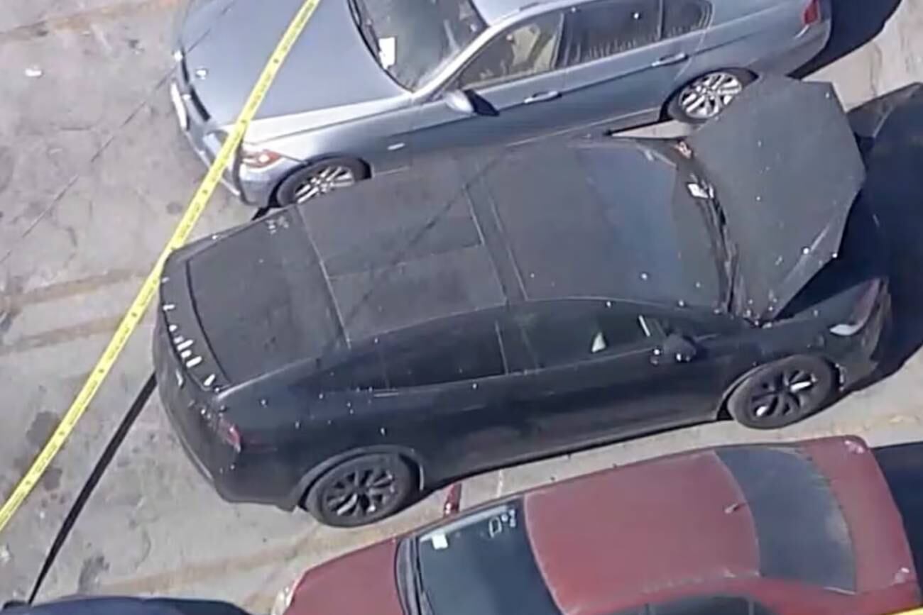 Encontraron un cadáver en el Tesla de D4vd, el rapero que es parte de la grilla del Lollapalooza 2026