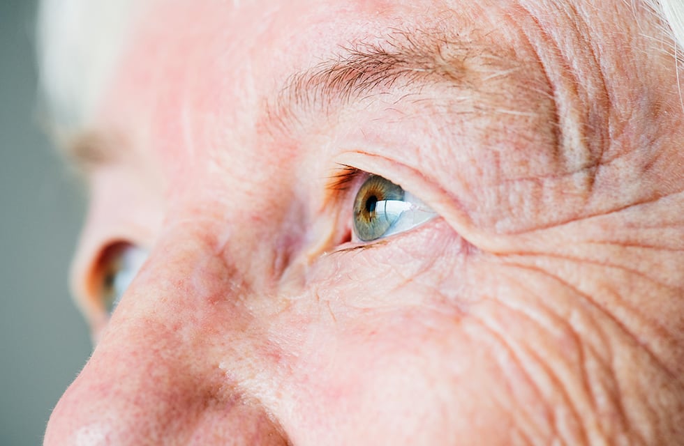 Taller gratuito de la memoria en Punta Alta