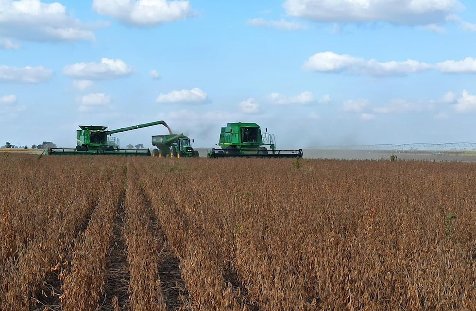 El procesamiento de soja alcanzó en el primer semestre su nivel más alto en cinco años