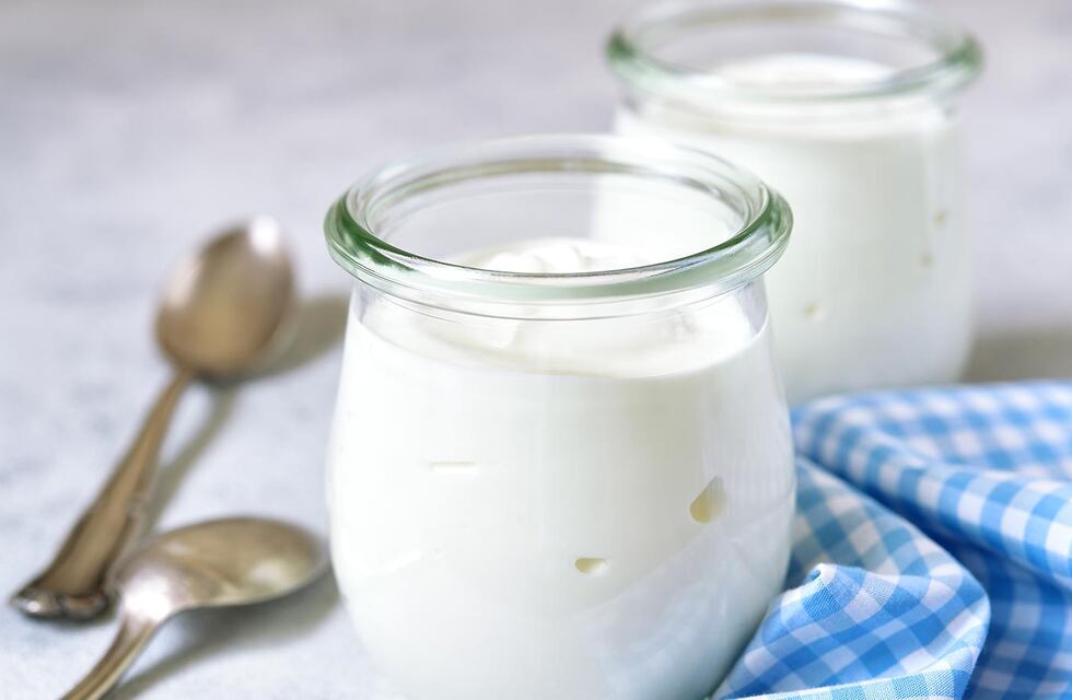 Científicos santafesinos del Conicet crearon un yogur que alivia síntomas digestivos