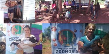 Alrededor de 1600 esterilizaciones se realizaron en el municipio de Montecarlo en lo que va del año.