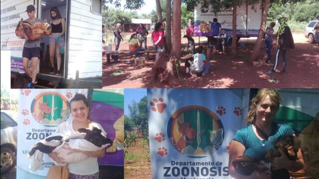 Alrededor de 1600 esterilizaciones se realizaron en el municipio de Montecarlo en lo que va del año.