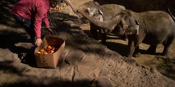 Foto: Ignacio Blanco / Los Andes