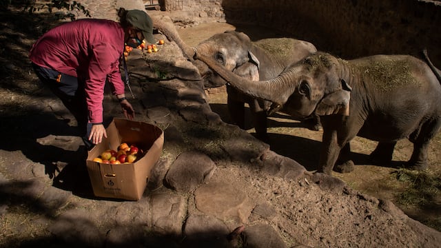 Foto: Ignacio Blanco / Los Andes