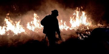 El fuego en Corrientes no para y llegaron refuerzos desde Brasil para combatir las llamas.