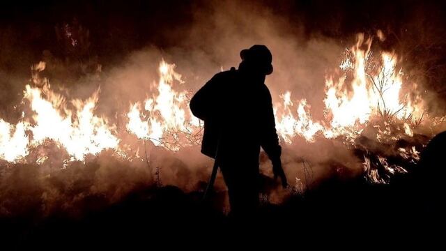Dos estudiantes y programadores crearon una app para alertar sobre incendios de forma inmediata