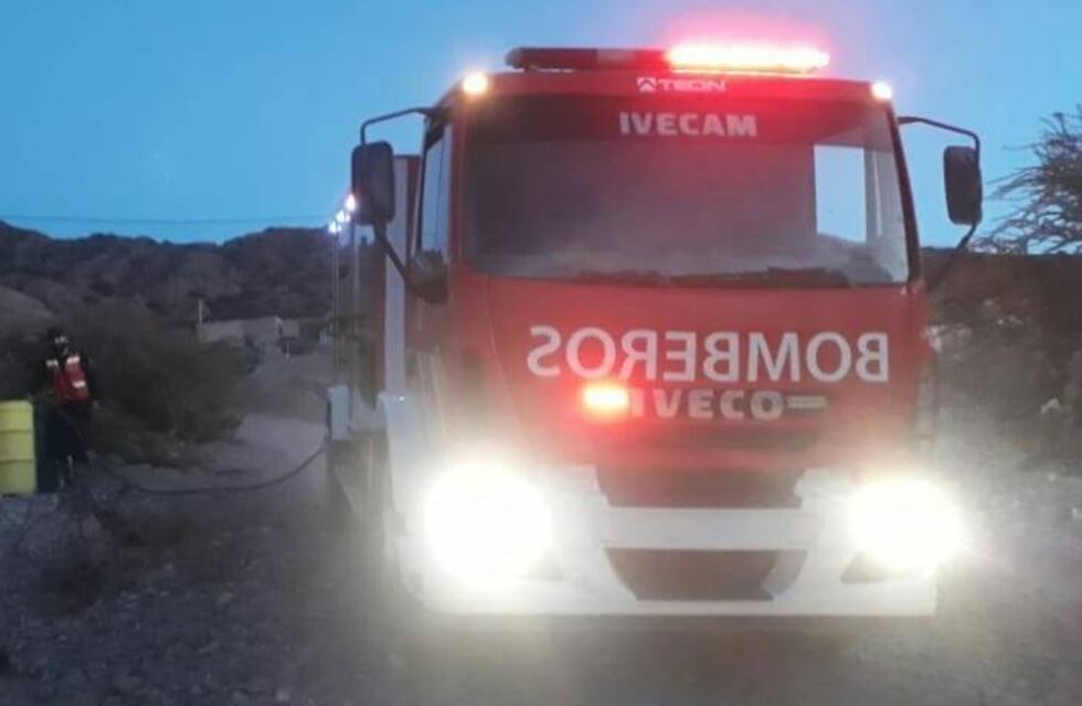 Quisieron espantar abejas pero quemaron una casa y dos autos