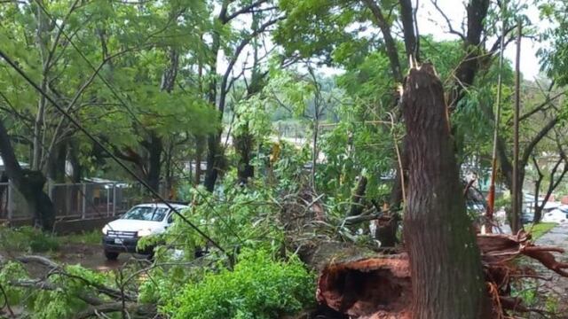 Oberá, 25 de Mayo y San Javier, las localidades más afectadas por el temporal en la provincia. Imagen ilustrativa.