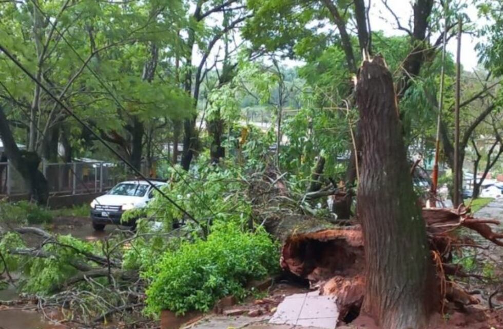 Oberá, 25 de Mayo y San Javier, las localidades más afectadas por el temporal en la provincia