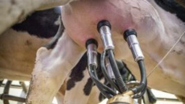 Produccion de lacteos