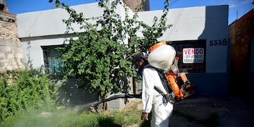 Dengue en la provincia de Córdoba.