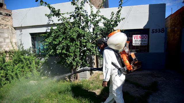 Dengue en la provincia de Córdoba.