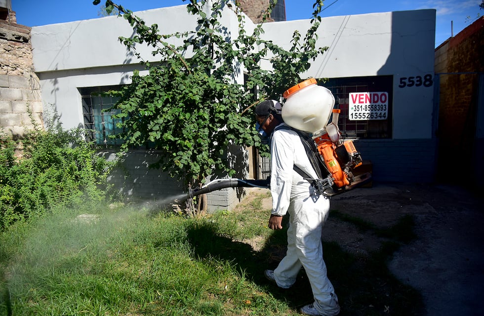 La provincia de Córdoba anticipó el pico de casos de dengue luego de Semana Santa