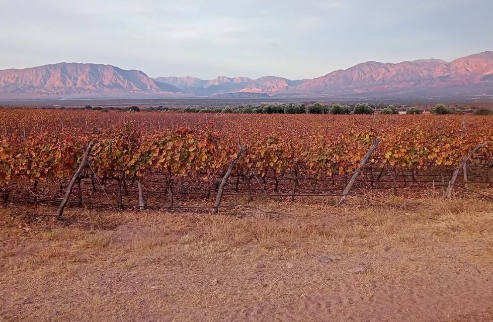 Alerta meteorológico en los Valles y Ruta 40