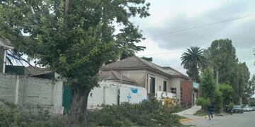 Temporal en Tres Arroyos: desde la Municipalidad piden a los vecinos colaborar con el orden y la limpieza