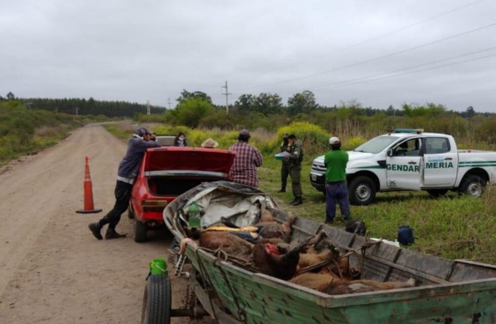 Gendarmería atrapó a cazadores con seis carpinchos, un jabalí, un ciervo y un dorado