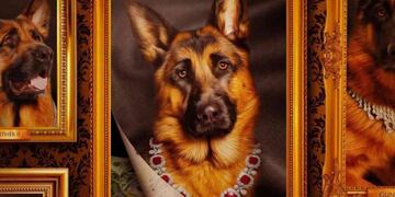 Gunther, el perro millonario