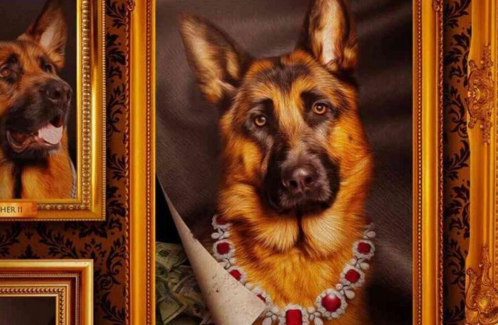 Tiene solo cuatro episodios y la rompe en Netflix: la historia de Gunther, el perro más rico del mundo
