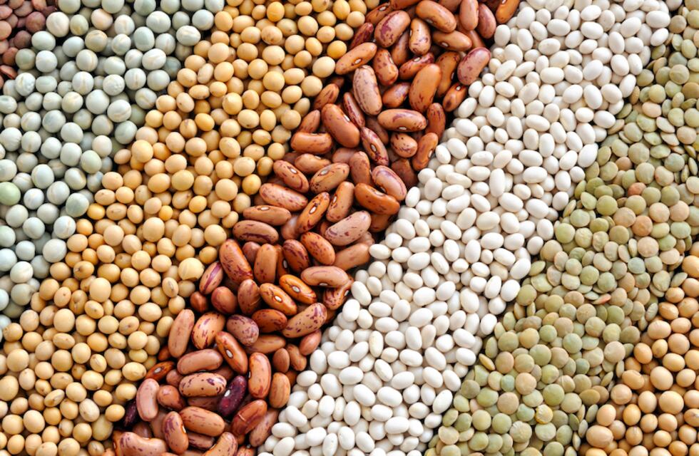 No hay nada atractivo en los granos, lo habrá?