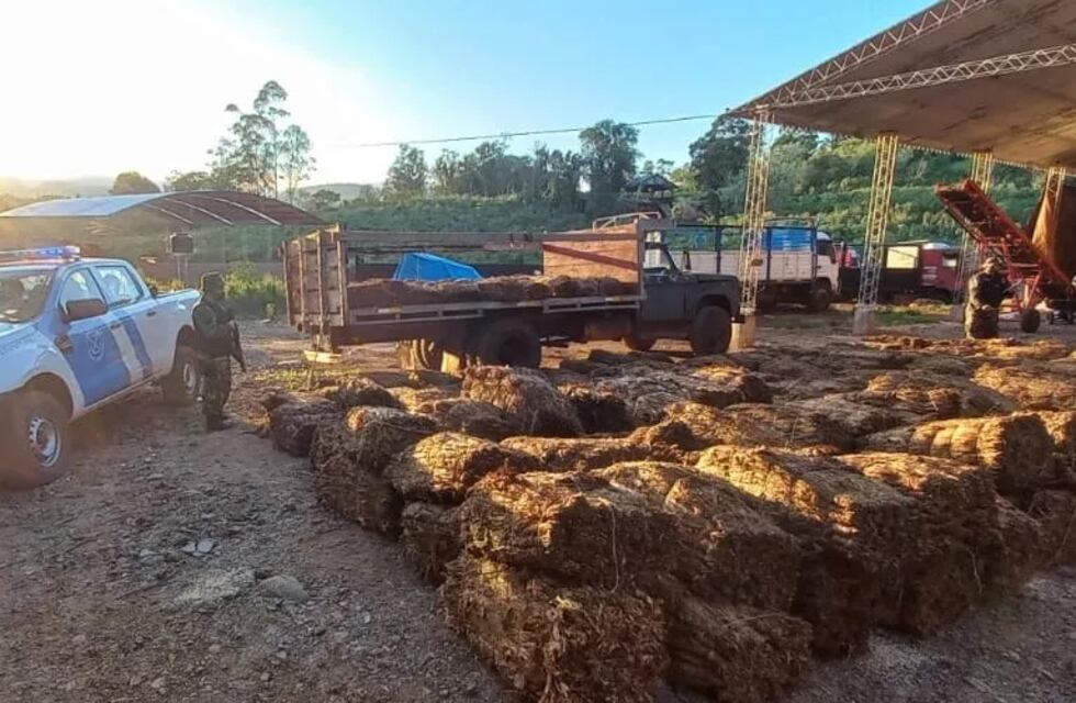 Más de seis toneladas de tabaco decomisadas en El Soberbio