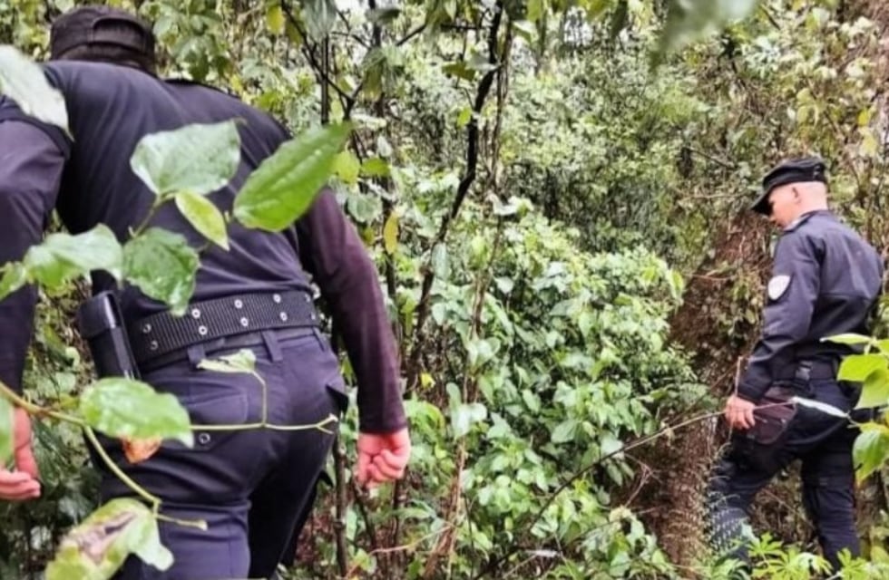 Afortunadamente, hallan sanos y salvos a los dos menores perdidos en San Pedro