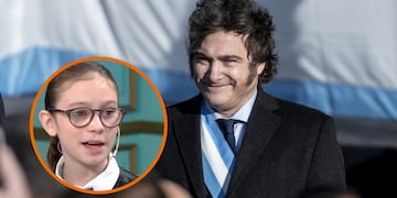 Por qué la Justicia le dio la razón a Javier Milei sobre el caso del nene con autismo, Ian Moche