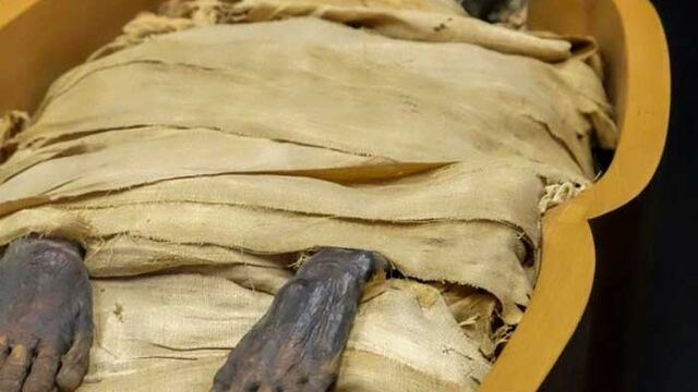 Imagen referencial de un cadáver momificado