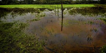 Se busca trabajar en el diseño del Plan de Gestión para el Sitio Ramsar.