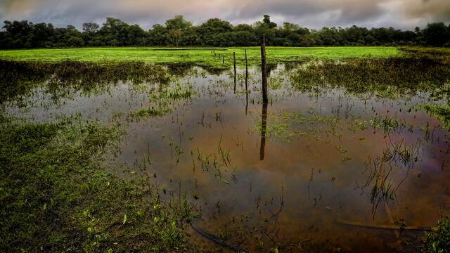 Se busca trabajar en el diseño del Plan de Gestión para el Sitio Ramsar.