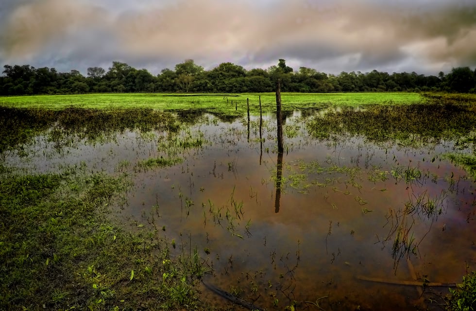 Finalizaron las primeras reuniones de las comisiones del Consejo Provincial de Ambiente