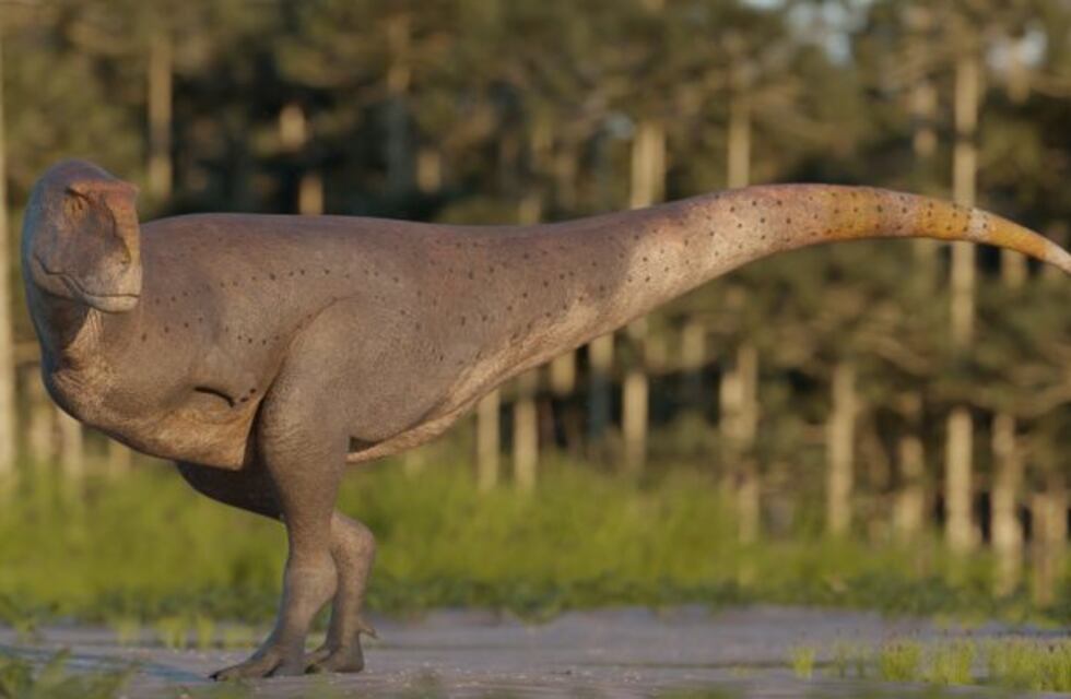 Sorprendente: descubrieron un dinosaurio argentino de hace 69 millones