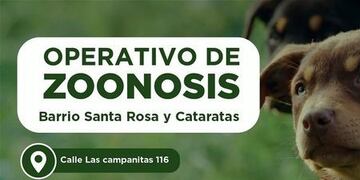 Operativos de Zoonosis en Puerto Iguazú.