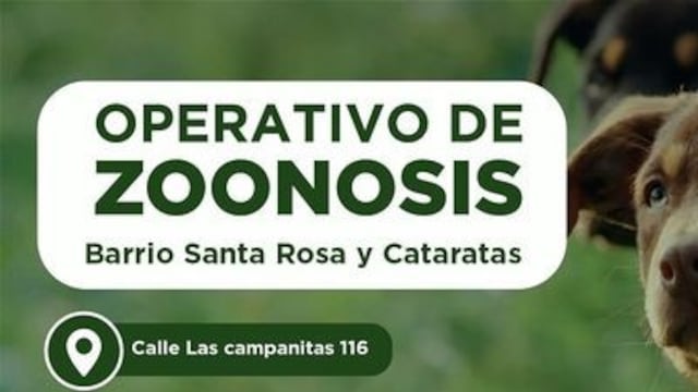 Operativos de Zoonosis en Puerto Iguazú.