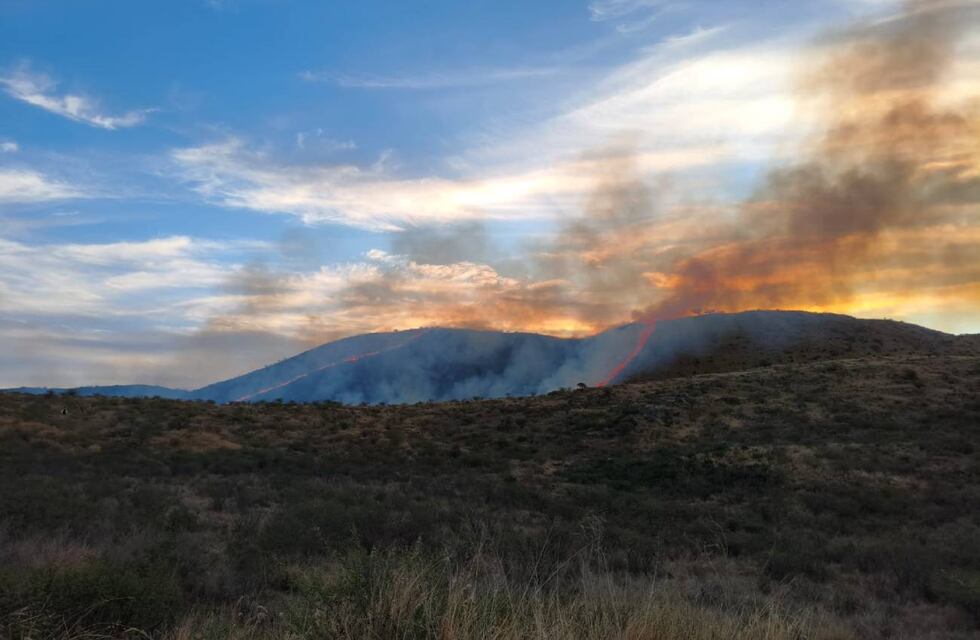 Un grupo de bomberos contuvo un incendio forestal en Córdoba: lo que se sabe