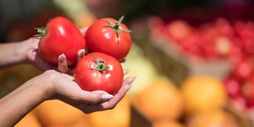 Dónde se aconseja guardar los tomates y que duren más tiempo.