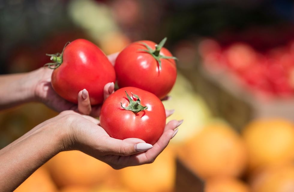 Cuál es el lugar ideal para conservar los tomates y que duren más tiempo, según los expertos