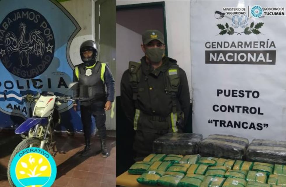 Operativo Lapacho: secuestran 17 kilos de hojas de coca que se dirigían a Mendoza