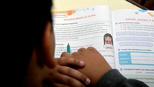 Argentina obtuvo bajos resultados en las pruebas PISA: el 70% de los alumnos no alcanza el nivel básico en matemática.