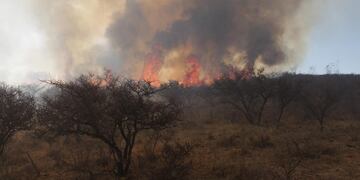 el fuego consume todo a su paso en el norte de Córdoba. (La Voz)