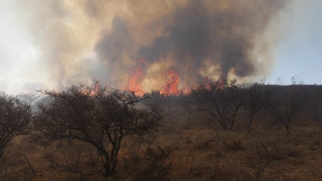 el fuego consume todo a su paso en el norte de Córdoba. (La Voz)