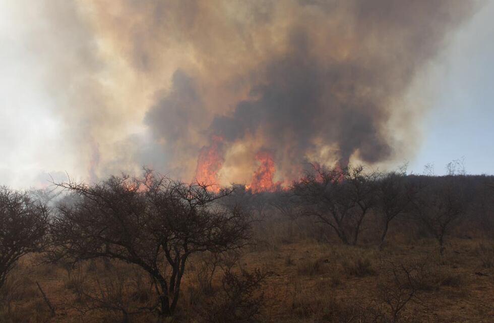 Por el intenso calor, se registraron focos de fuego en Córdoba