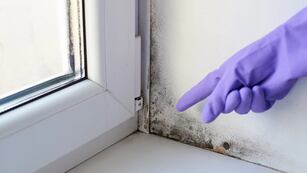 Quitar la humedad de la casa.